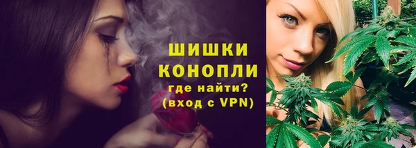 эйфоретик Сясьстрой