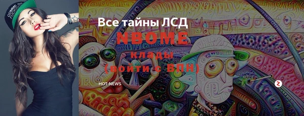 мдпв Богородск