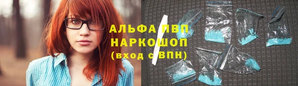 стаф Тавда